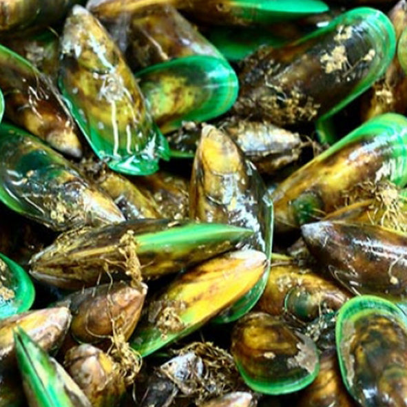 ½ Shell Greenlip Mussels